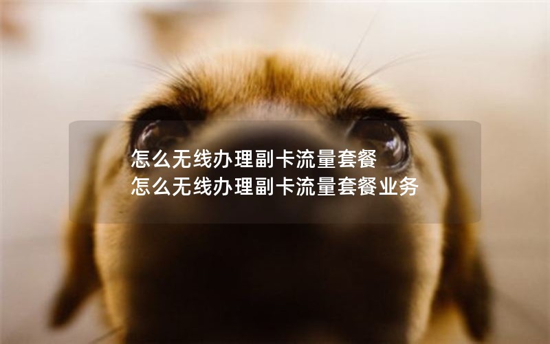 怎么无线办理副卡流量套餐 怎么无线办理副卡流量套餐业务