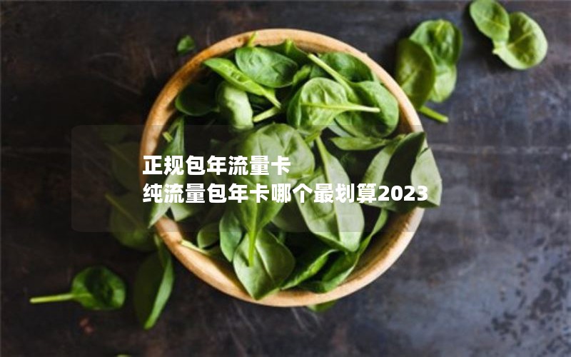 正规包年流量卡 纯流量包年卡哪个最划算2023