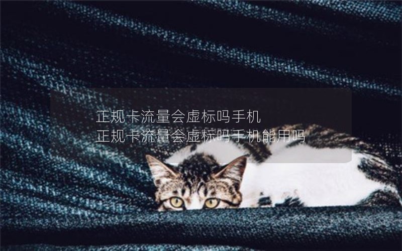 正规卡流量会虚标吗手机 正规卡流量会虚标吗手机能用吗