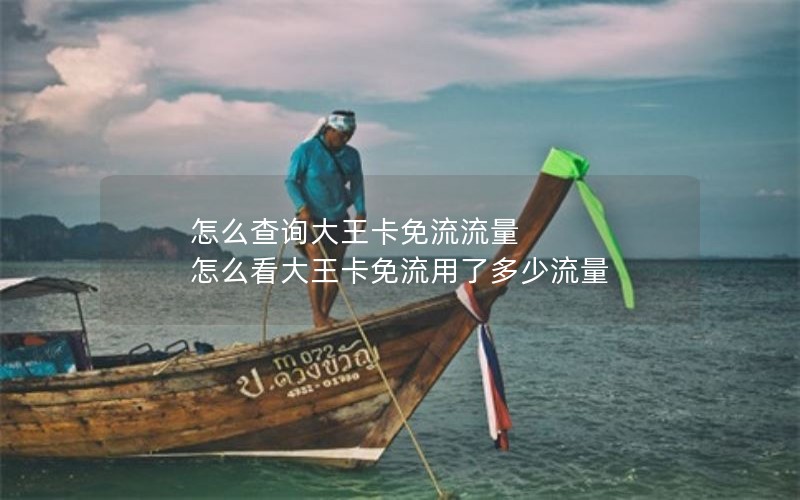 怎么查询大王卡免流流量 怎么看大王卡免流用了多少流量