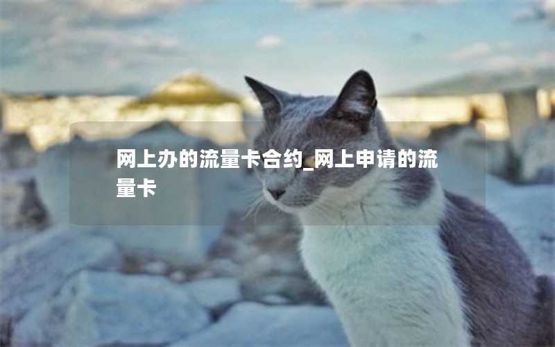 物联网专用流量卡套餐_物联网专用流量卡网速怎么样