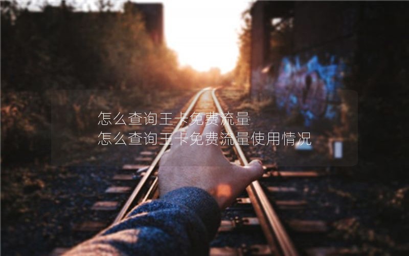 怎么查询王卡免费流量 怎么查询王卡免费流量使用情况