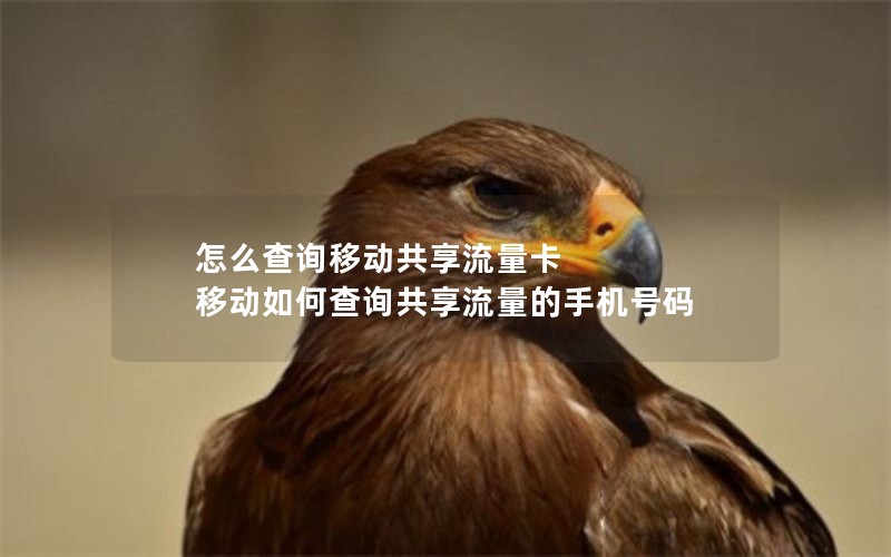 怎么查询移动共享流量卡 移动如何查询共享流量的手机号码