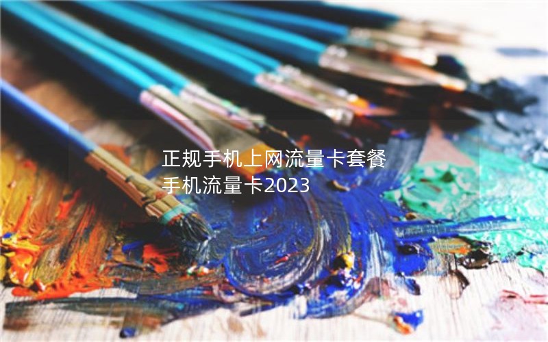 正规手机上网流量卡套餐 手机流量卡2023