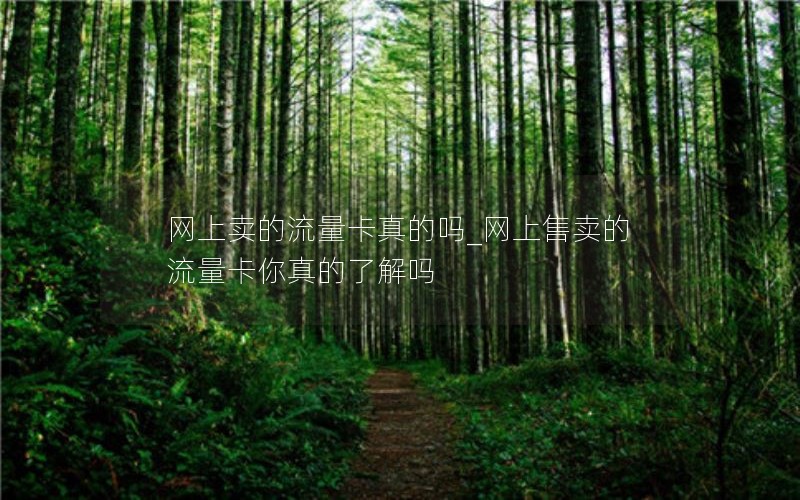 网上卖的流量卡真的吗_网上售卖的流量卡你真的了解吗