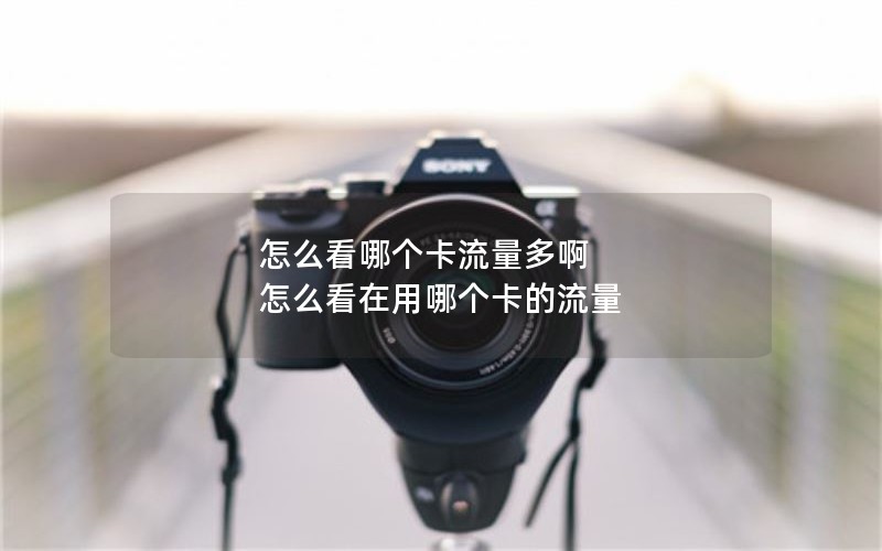 怎么看哪个卡流量多啊 怎么看在用哪个卡的流量