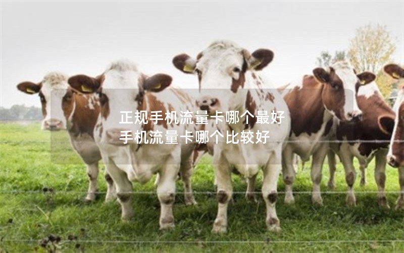 正规手机流量卡哪个最好 手机流量卡哪个比较好