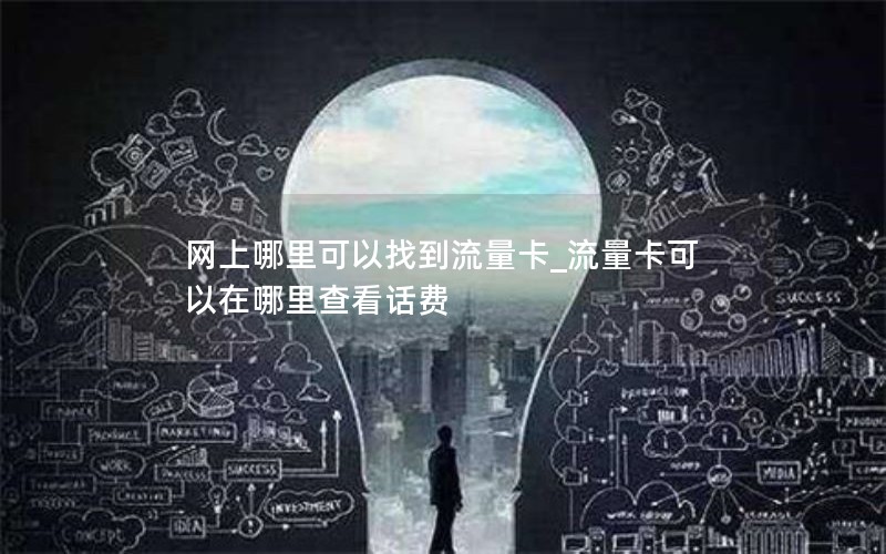 网上哪里可以找到流量卡_流量卡可以在哪里查看话费