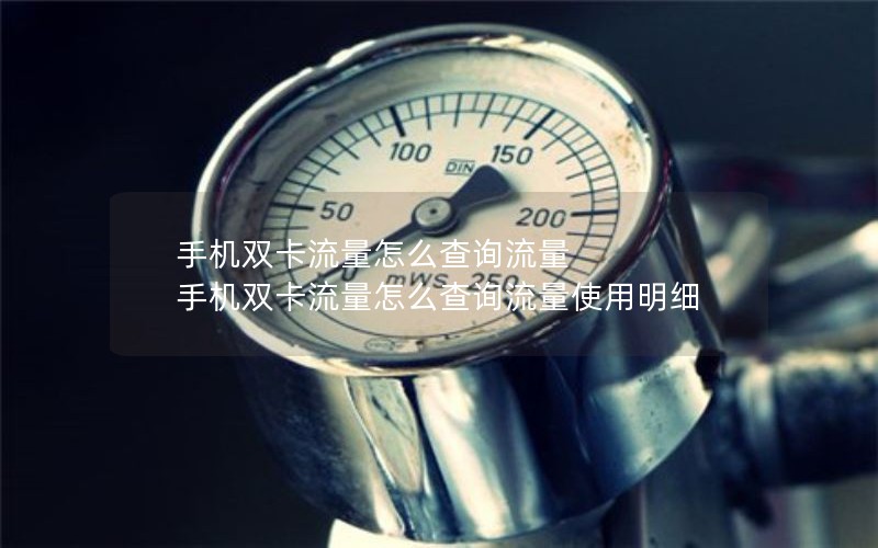 手机双卡流量怎么查询流量 手机双卡流量怎么查询流量使用明细