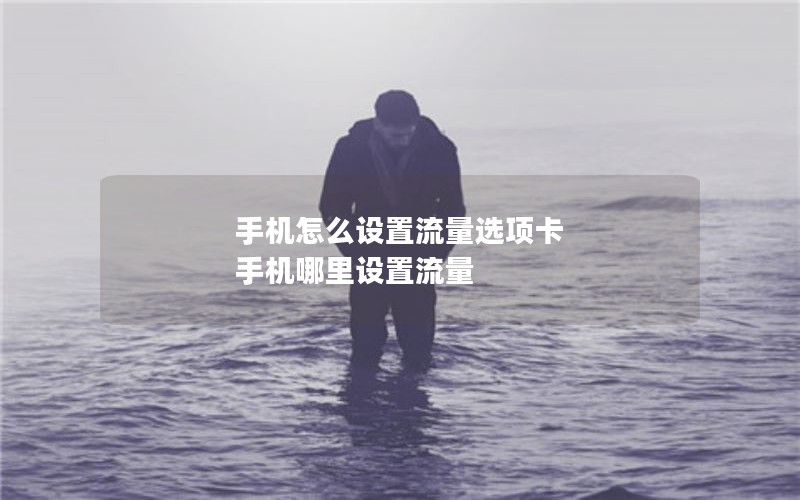 手机怎么设置流量选项卡 手机哪里设置流量