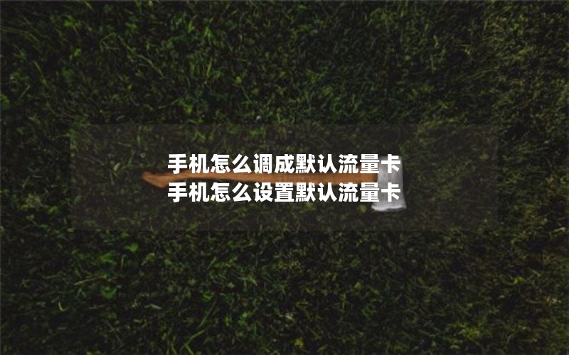 手机怎么调成默认流量卡 手机怎么设置默认流量卡