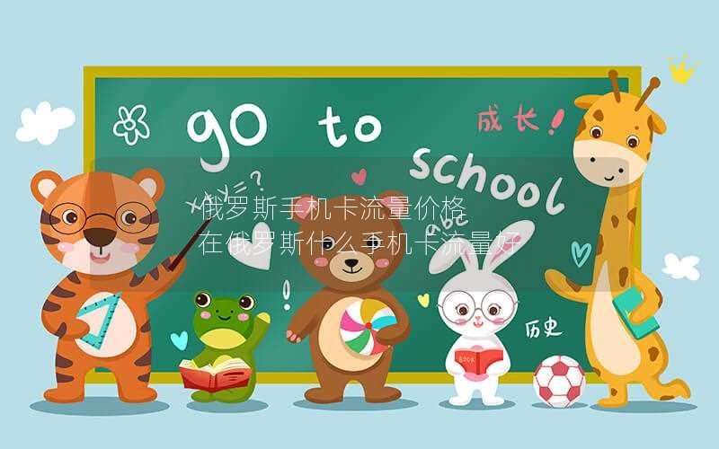 俄罗斯手机卡流量价格 在俄罗斯什么手机卡流量好