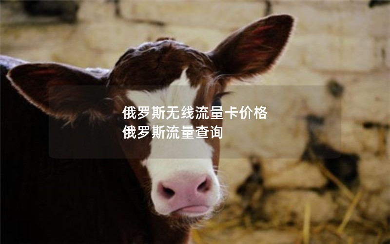 俄罗斯无线流量卡价格 俄罗斯流量查询