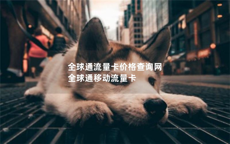 全球通流量卡价格查询网 全球通移动流量卡