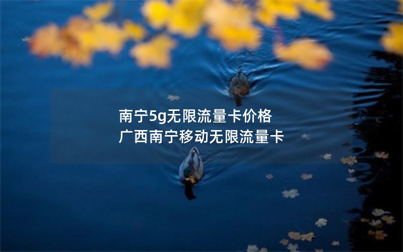 南宁5g无限流量卡价格 广西南宁移动无限流量卡