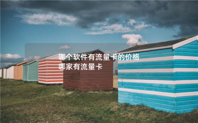 哪个软件有流量卡的价格 哪家有流量卡