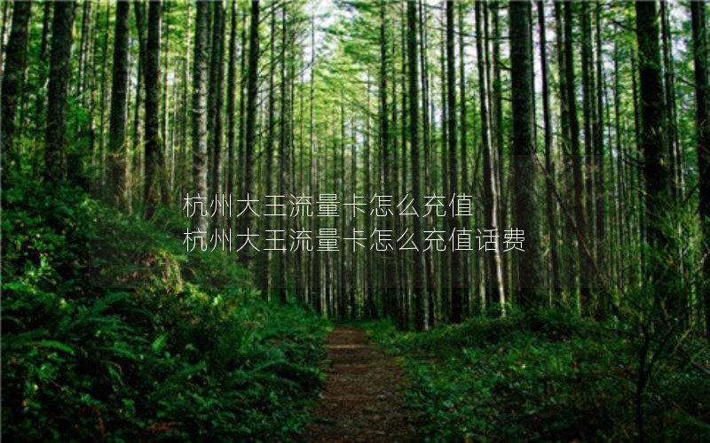 杭州大王流量卡怎么充值 杭州大王流量卡怎么充值话费