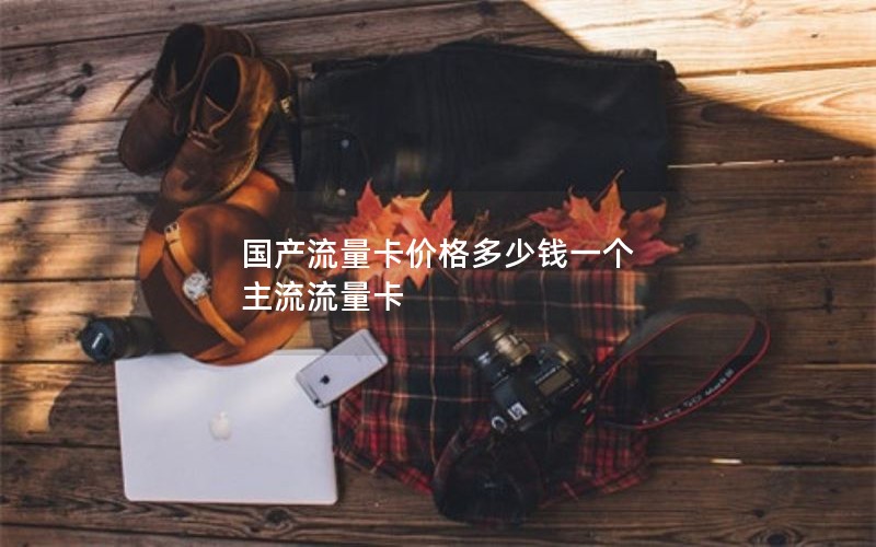 国产流量卡价格多少钱一个 主流流量卡