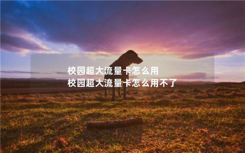 校园超大流量卡怎么用 校园超大流量卡怎么用不了