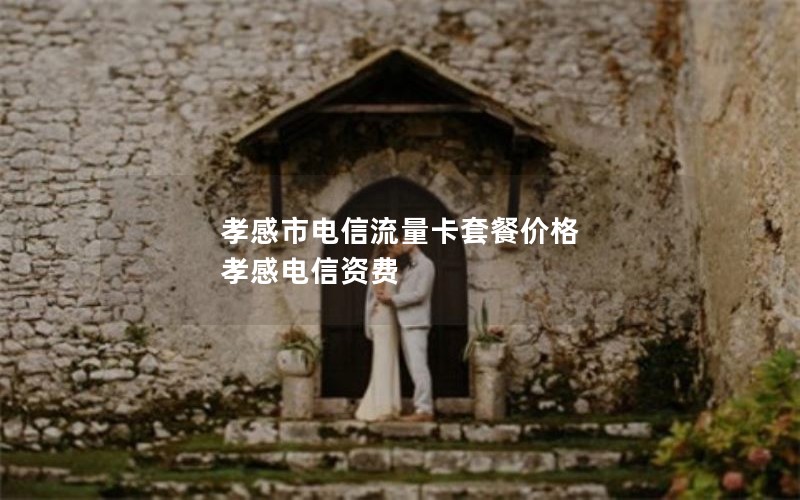 孝感市电信流量卡套餐价格 孝感电信资费