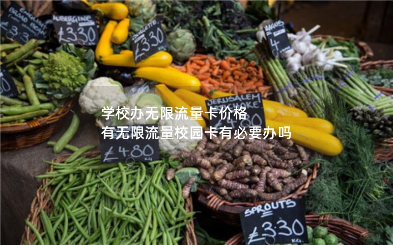 学校办无限流量卡价格 有无限流量校园卡有必要办吗