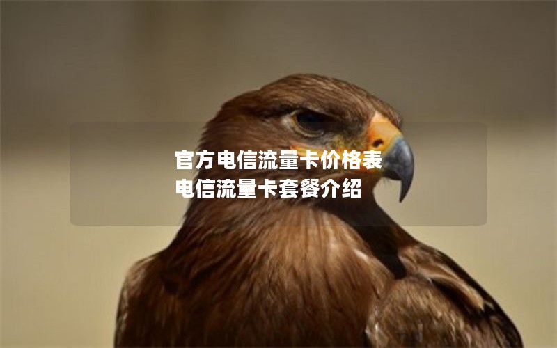 官方电信流量卡价格表 电信流量卡套餐介绍
