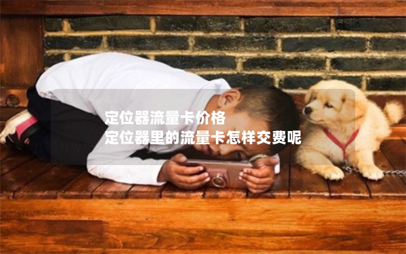 定位器流量卡价格 定位器里的流量卡怎样交费呢