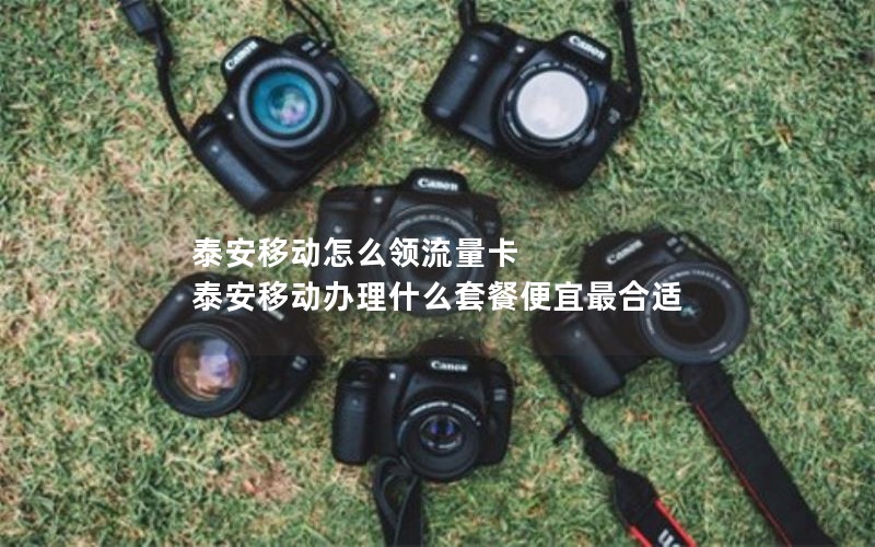 泰安移动怎么领流量卡 泰安移动办理什么套餐便宜最合适