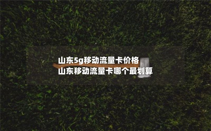 山东5g移动流量卡价格 山东移动流量卡哪个最划算