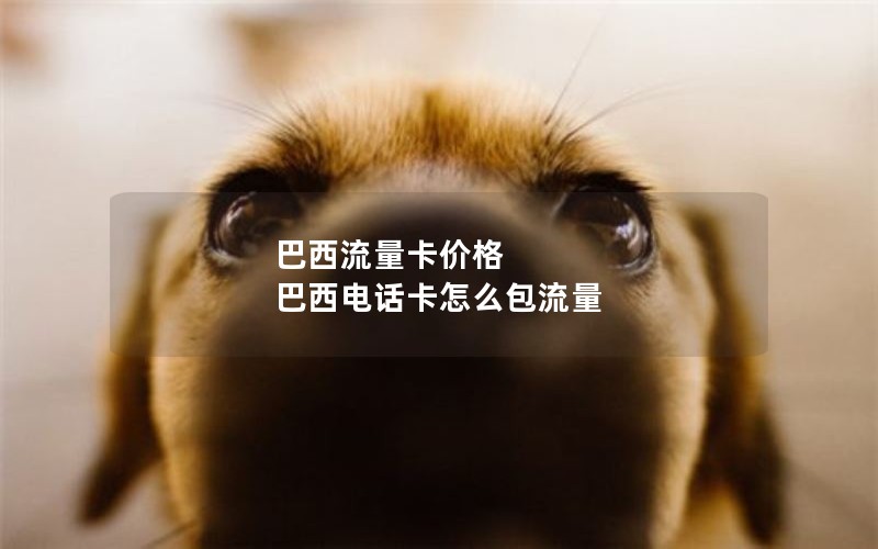 巴西流量卡价格 巴西电话卡怎么包流量