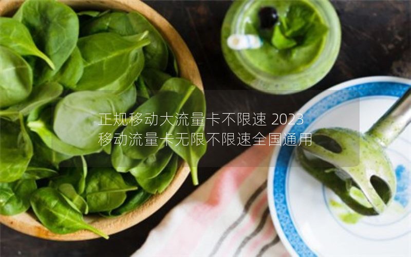正规移动大流量卡不限速 2023移动流量卡无限不限速全国通用