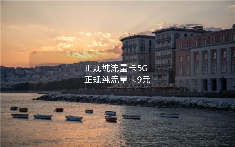 正规纯流量卡5G 正规纯流量卡9元