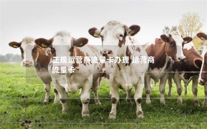 正规运营商流量卡办理 运营商 流量卡