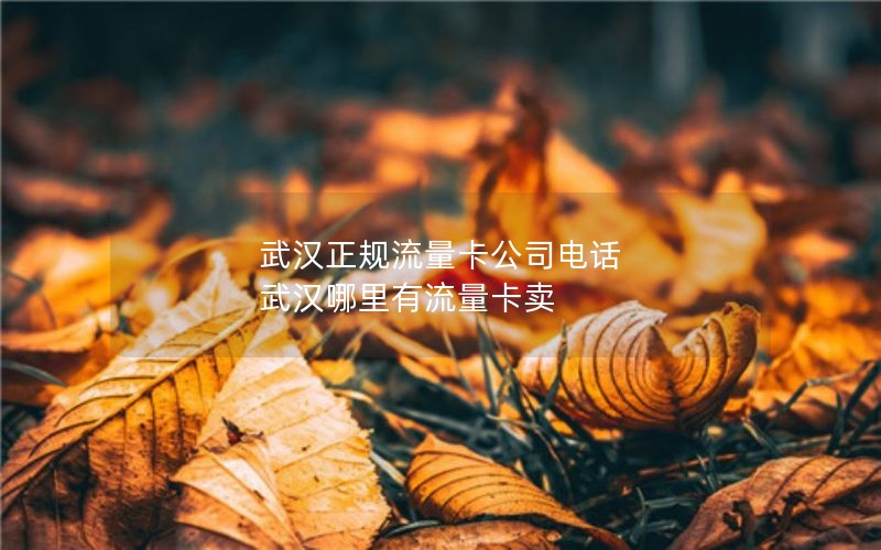 武汉正规流量卡公司电话 武汉哪里有流量卡卖