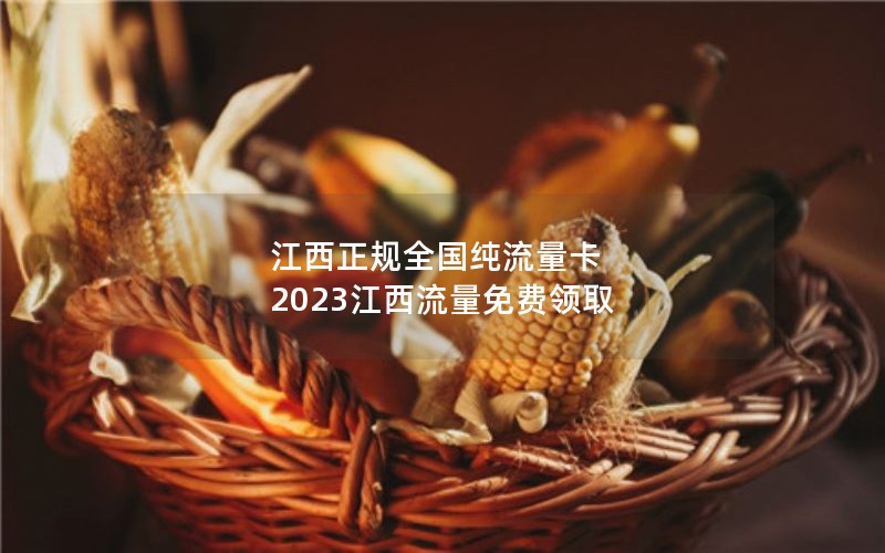 江西正规全国纯流量卡 2023江西流量免费领取