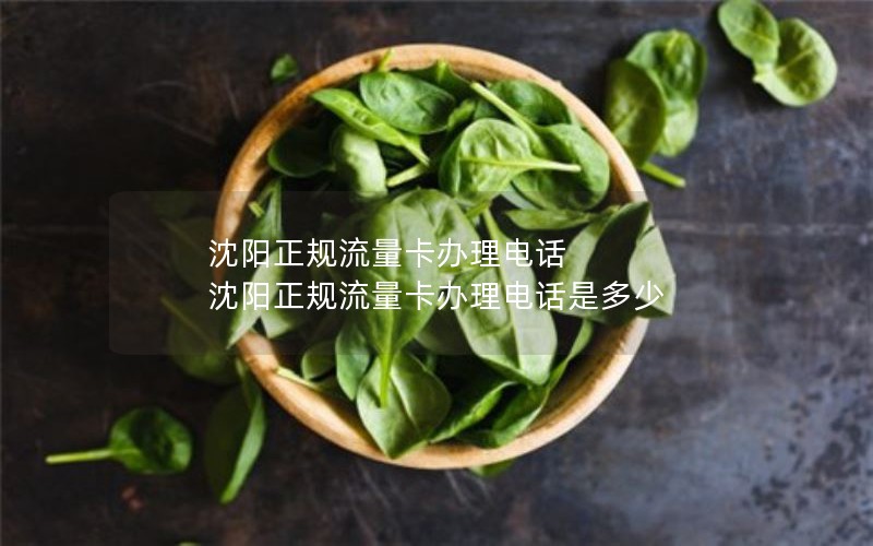 沈阳正规流量卡办理电话 沈阳正规流量卡办理电话是多少