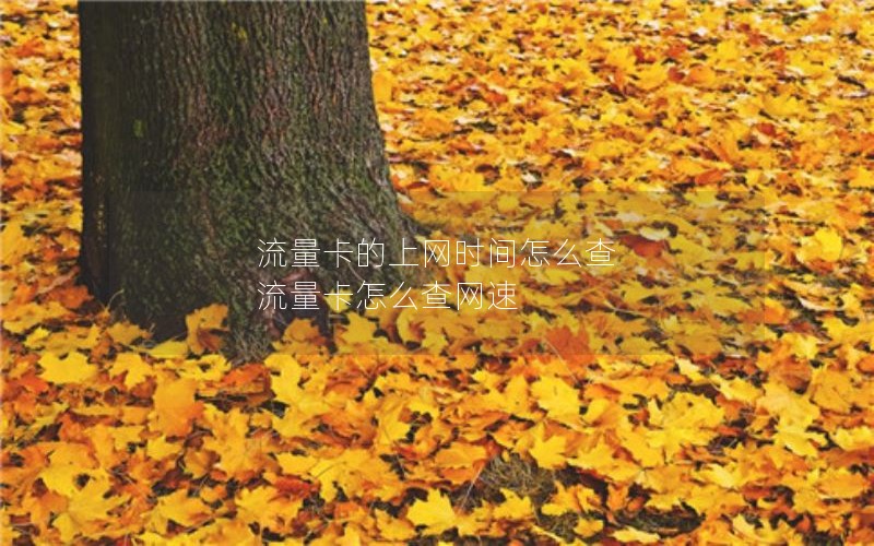流量卡的上网时间怎么查 流量卡怎么查网速