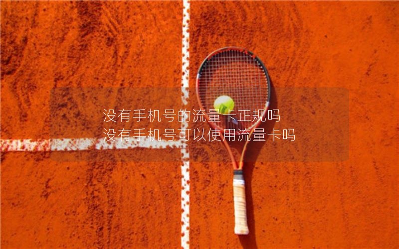 没有手机号的流量卡正规吗 没有手机号可以使用流量卡吗