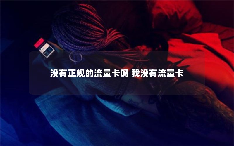 没有正规的流量卡吗 我没有流量卡