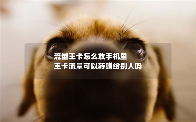 流量王卡怎么放手机里 王卡流量可以转赠给别人吗