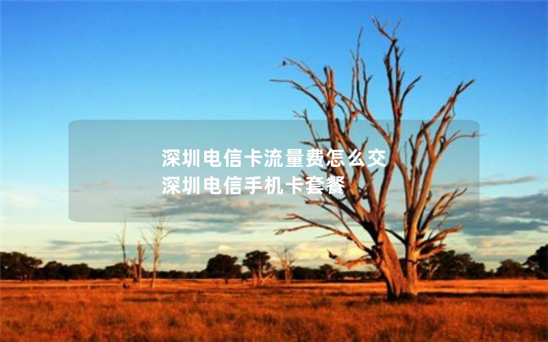深圳电信卡流量费怎么交 深圳电信手机卡套餐