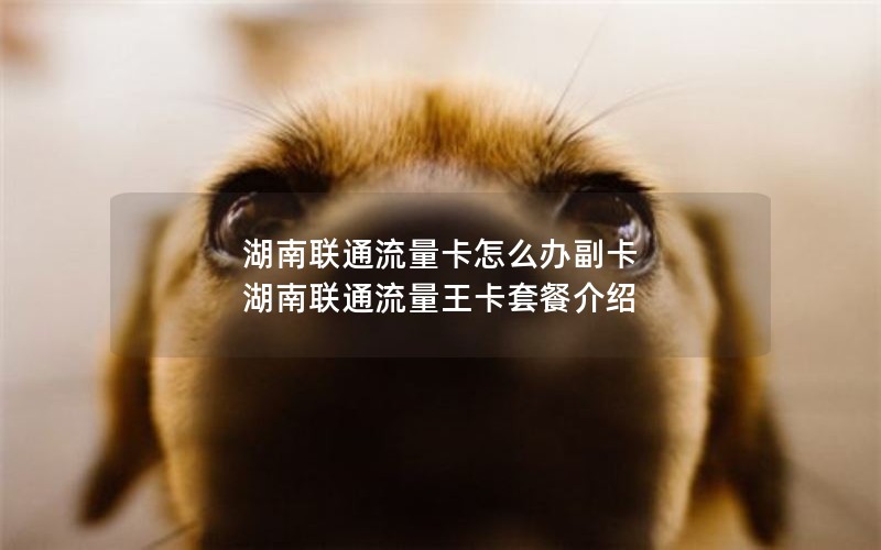 湖南联通流量卡怎么办副卡 湖南联通流量王卡套餐介绍