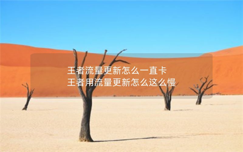 王者流量更新怎么一直卡 王者用流量更新怎么这么慢