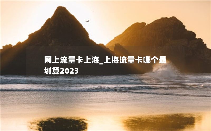 网上流量卡上海_上海流量卡哪个最划算2023