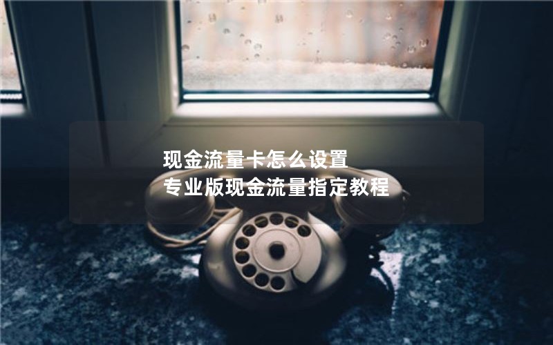 现金流量卡怎么设置 专业版现金流量指定教程