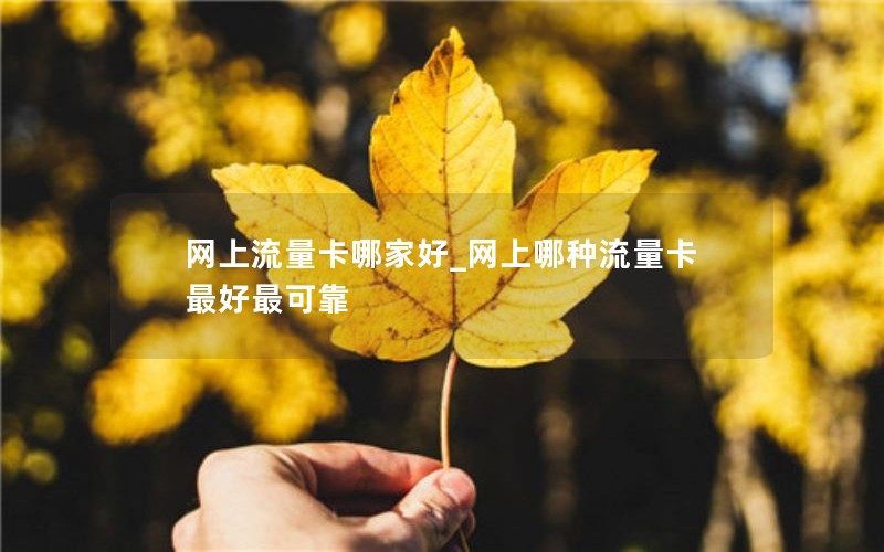 网上流量卡哪家好_网上哪种流量卡最好最可靠