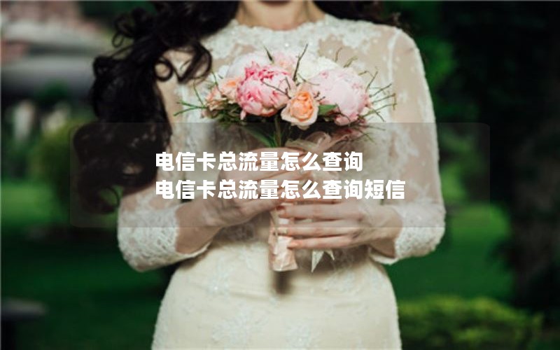 电信卡总流量怎么查询 电信卡总流量怎么查询短信
