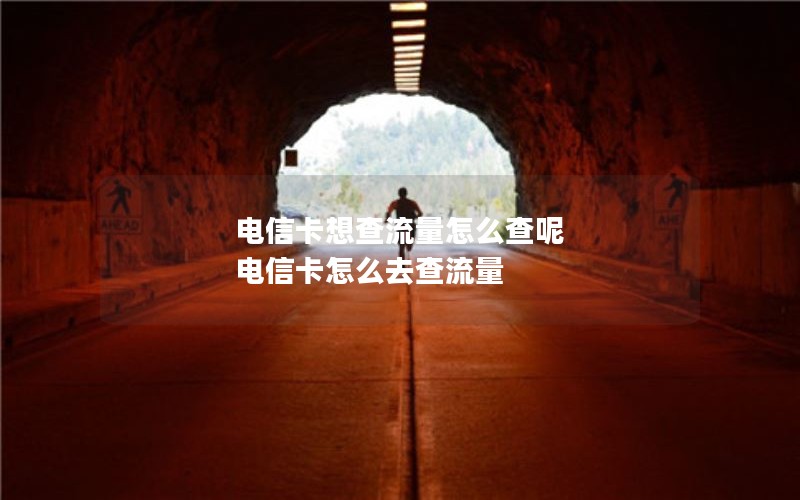 电信卡想查流量怎么查呢 电信卡怎么去查流量