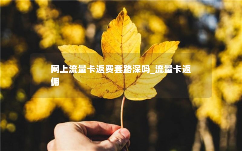 网上流量卡返费套路深吗_流量卡返佣