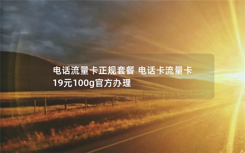 电话流量卡正规套餐 电话卡流量卡19元100g官方办理